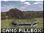 Camo Pillbox